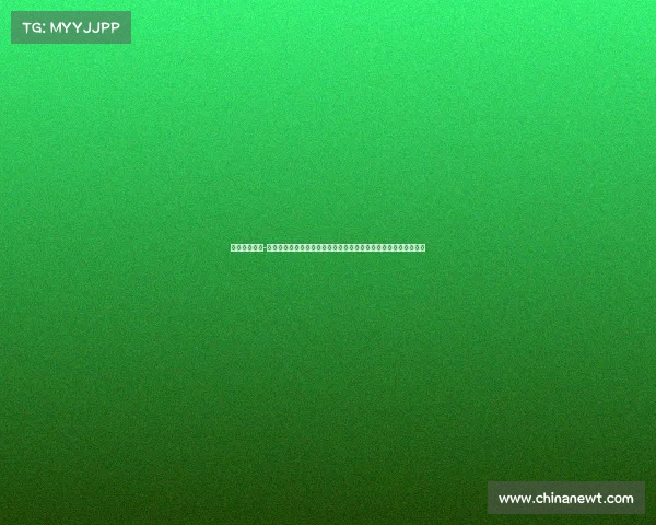 卓尔主场赛事-武汉卓尔足球俱乐部主场赛事绿茵争锋英雄拼搏球迷助威声震云霄