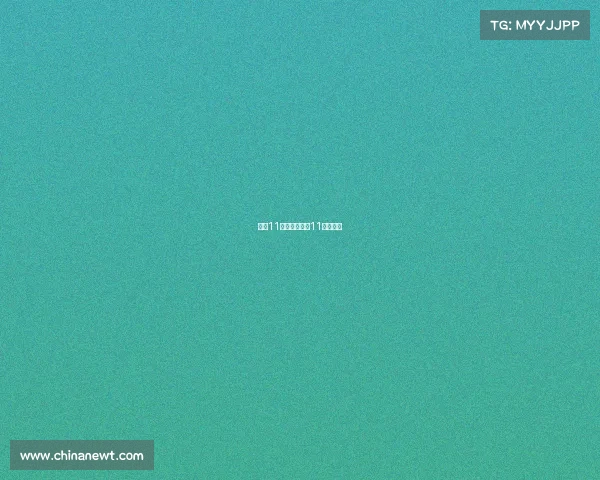 国乒11月赛事乒乓球11月份赛程